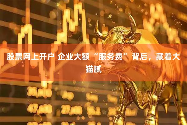 股票网上开户 企业大额 “服务费” 背后，藏着大猫腻
